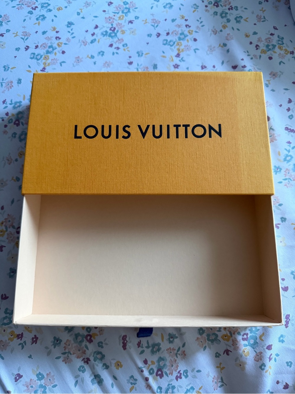 Empty Designer Shoe Box